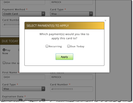 Select Payment To Apply